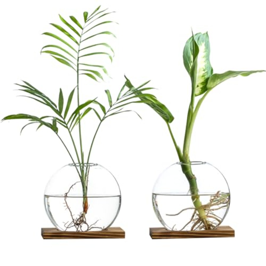 Glass Planter Propagation Stat - Propagation Station Vase incelemesi ve fiyatı