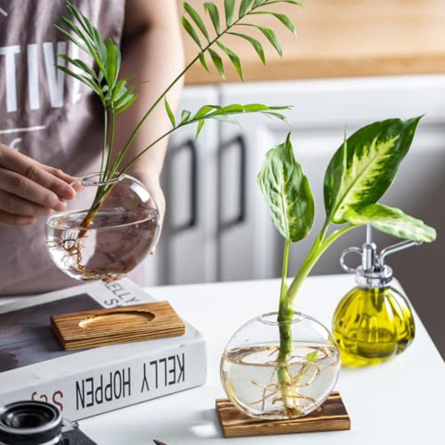 Glass Planter Propagation Stat - Propagation Station Vase incelemesi ve fiyatı