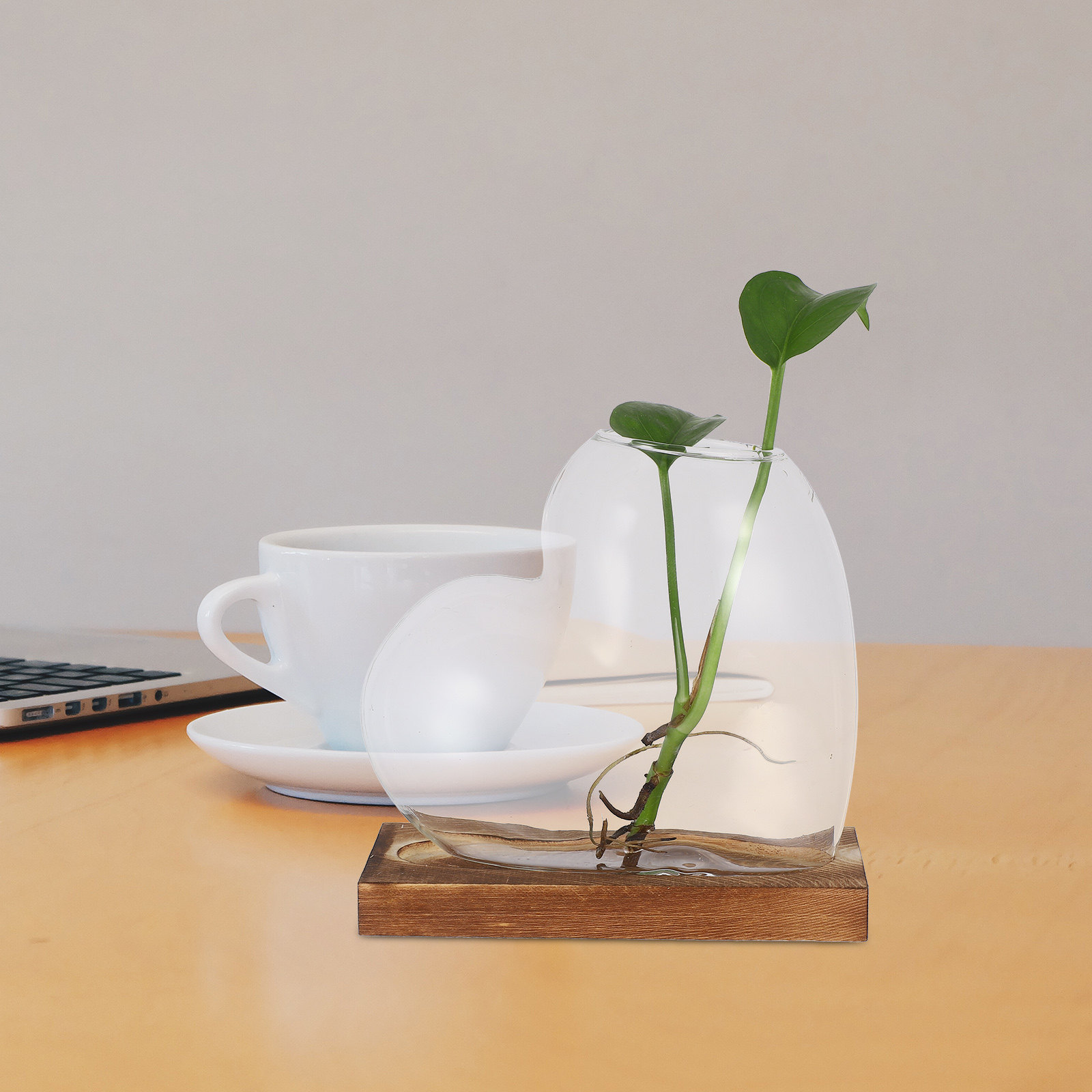 Creative Hydroponic Vase Trans - Propagation Station Vase incelemesi ve fiyatı
