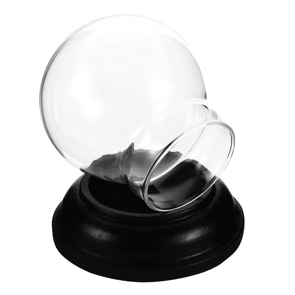 Empty Fillable Glass Snow Glob - Plastic Dome Clear incelemesi ve fiyatı