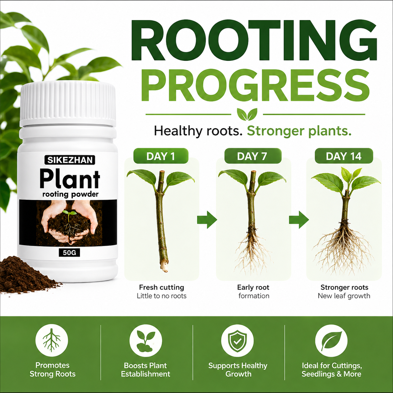 50g Rapid Rooting Powder Plant - Rooting Hormone Powder incelemesi ve fiyatı