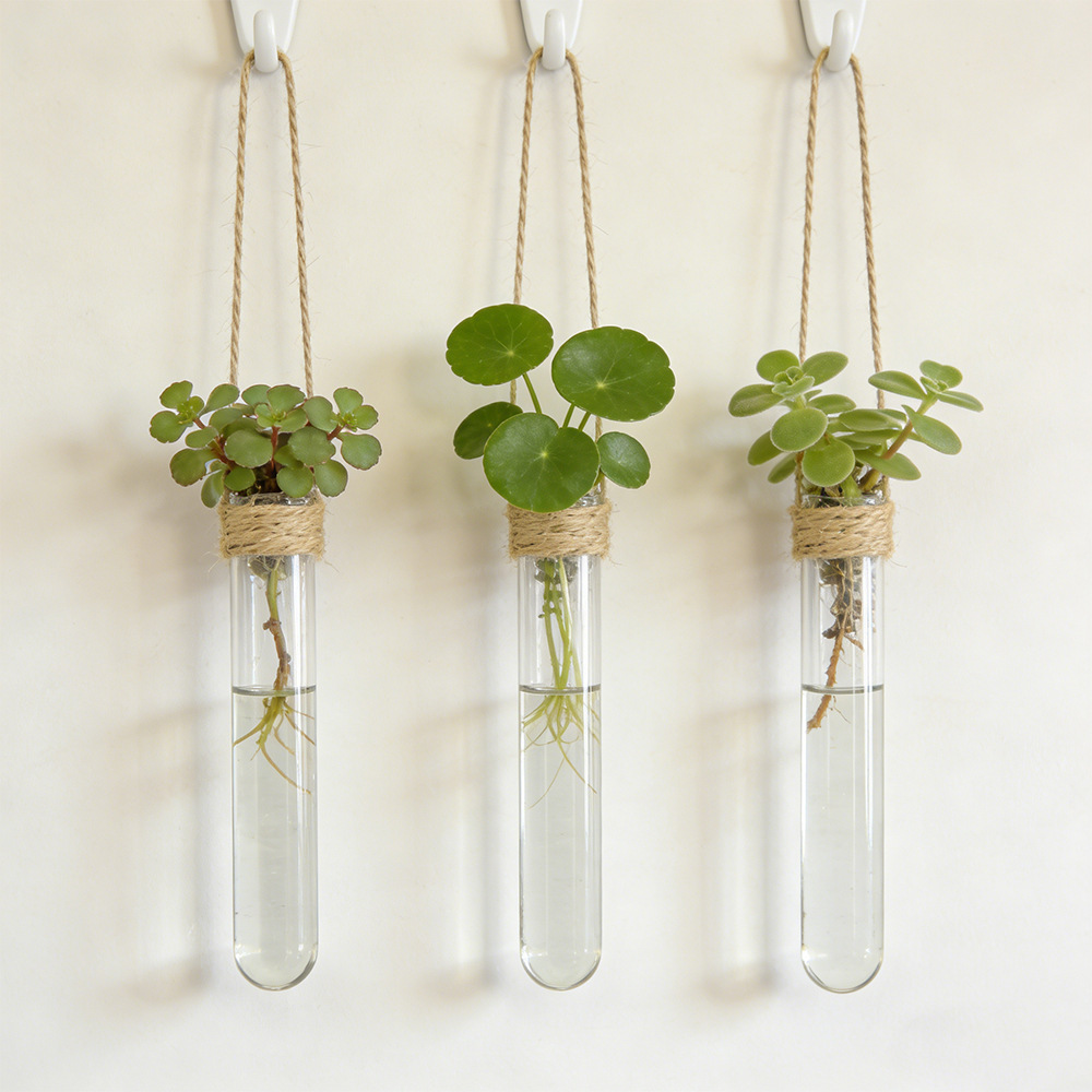 Hydroponic Flower Vase Wall-Mo - Propagation Station Vase incelemesi ve fiyatı