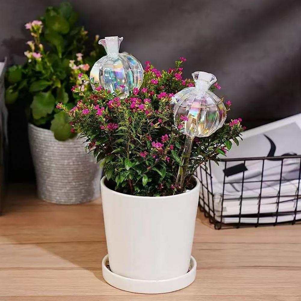 24cm Cactus Self Watering Bulb - Self Watering Insert incelemesi ve fiyatı