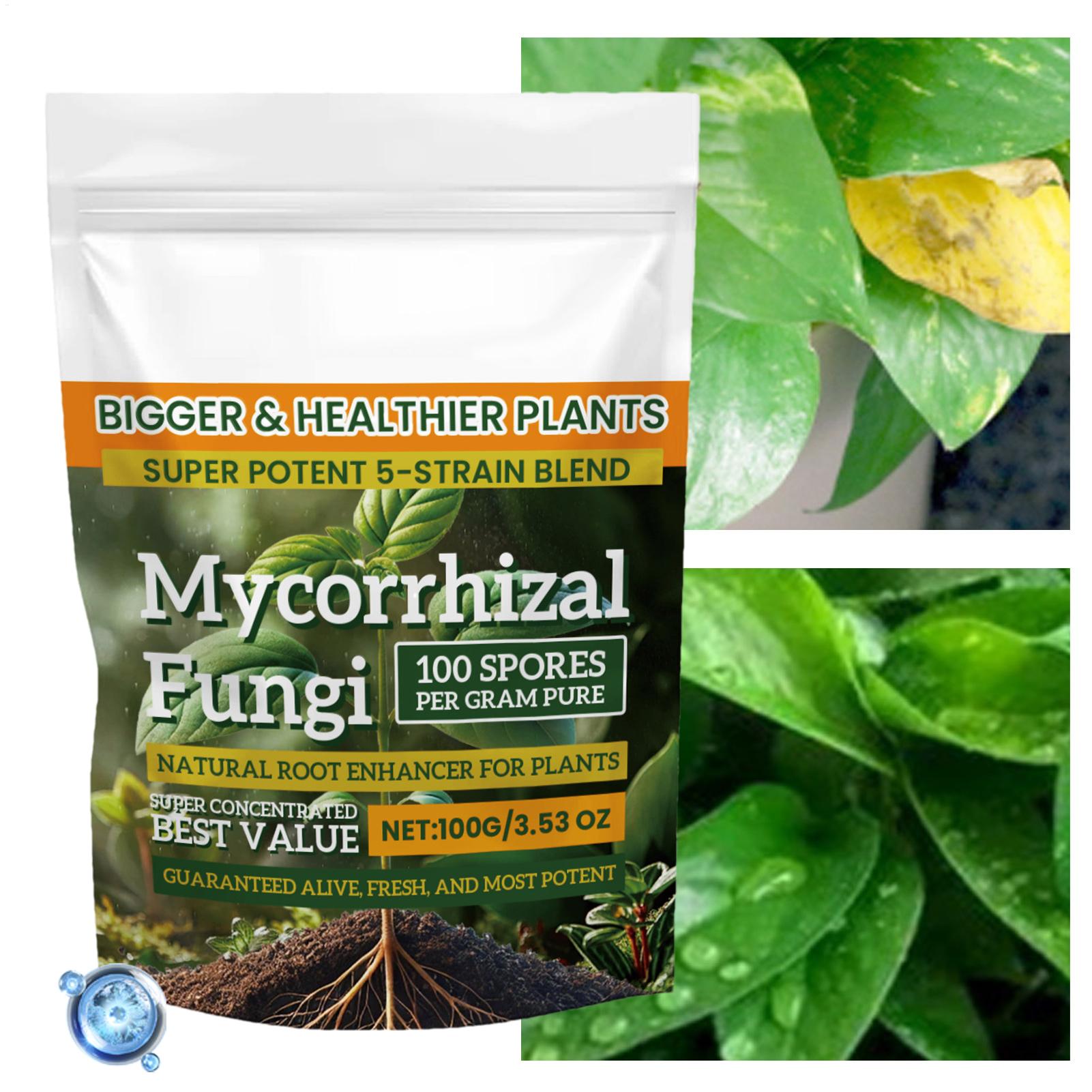 Plant Growth Enhancer Powder 1 - Rooting Hormone Powder incelemesi ve fiyatı