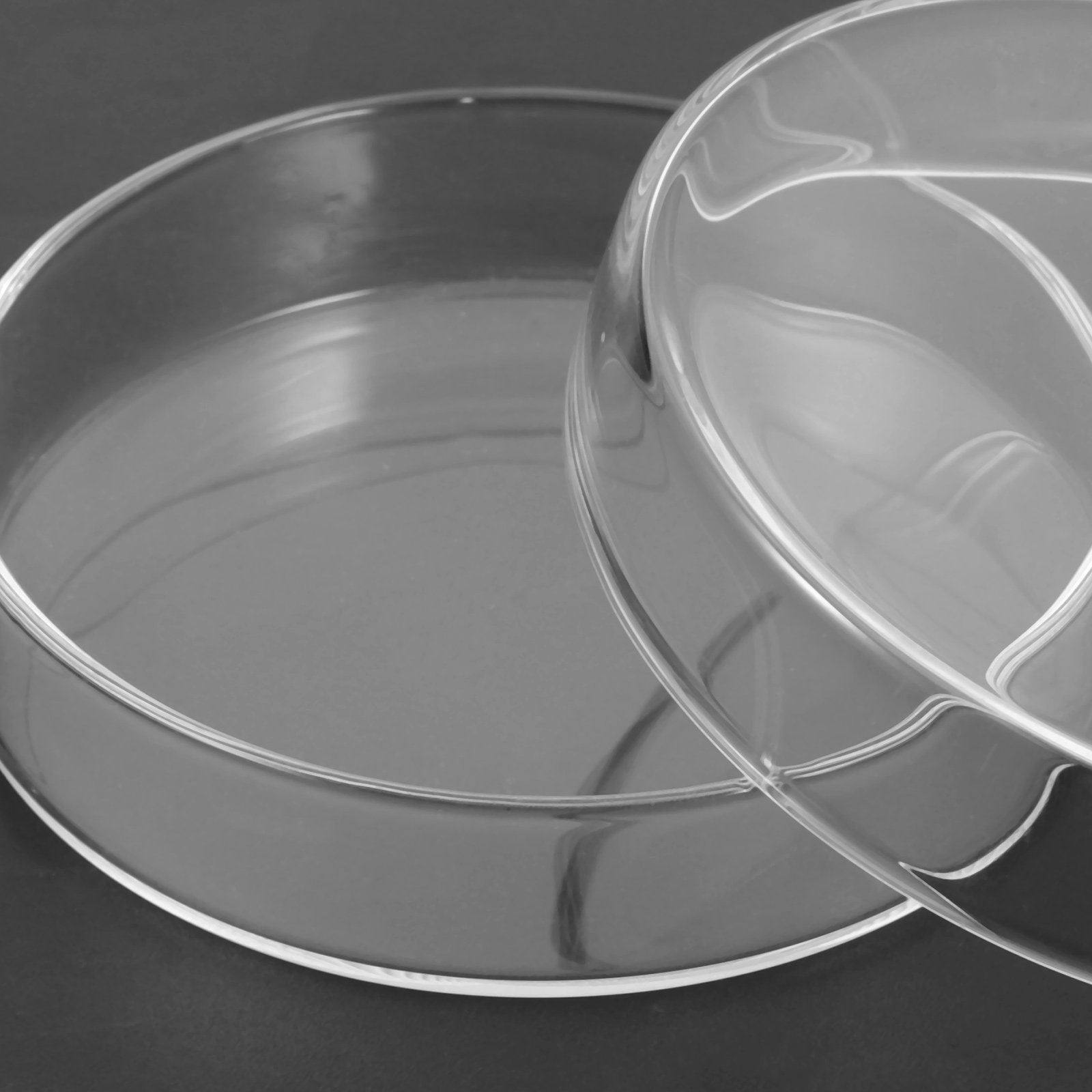 Glass Petri Dish High Borosili - Agar Tissue Culture incelemesi ve fiyatı