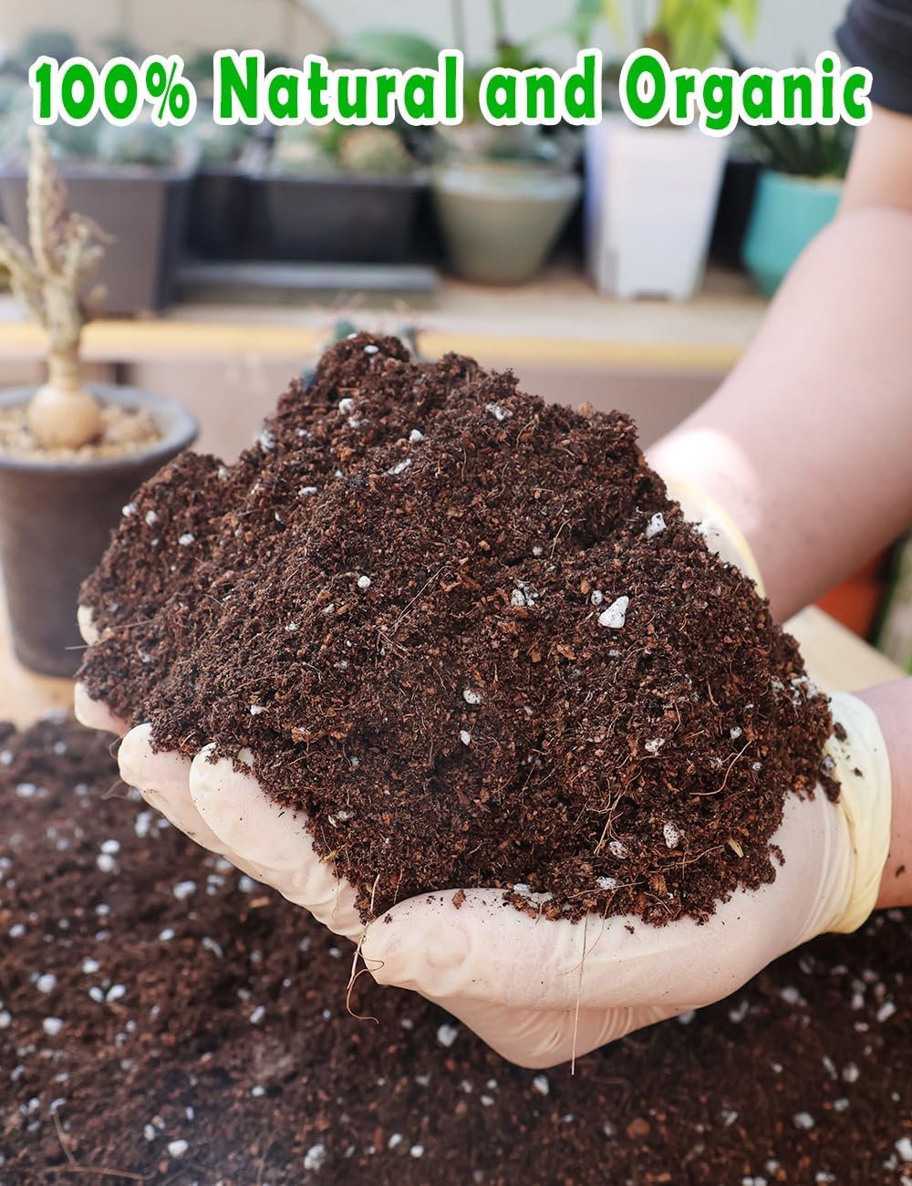 Potting Soil for All Indoor Ho - Coco Perlite Mix incelemesi ve fiyatı