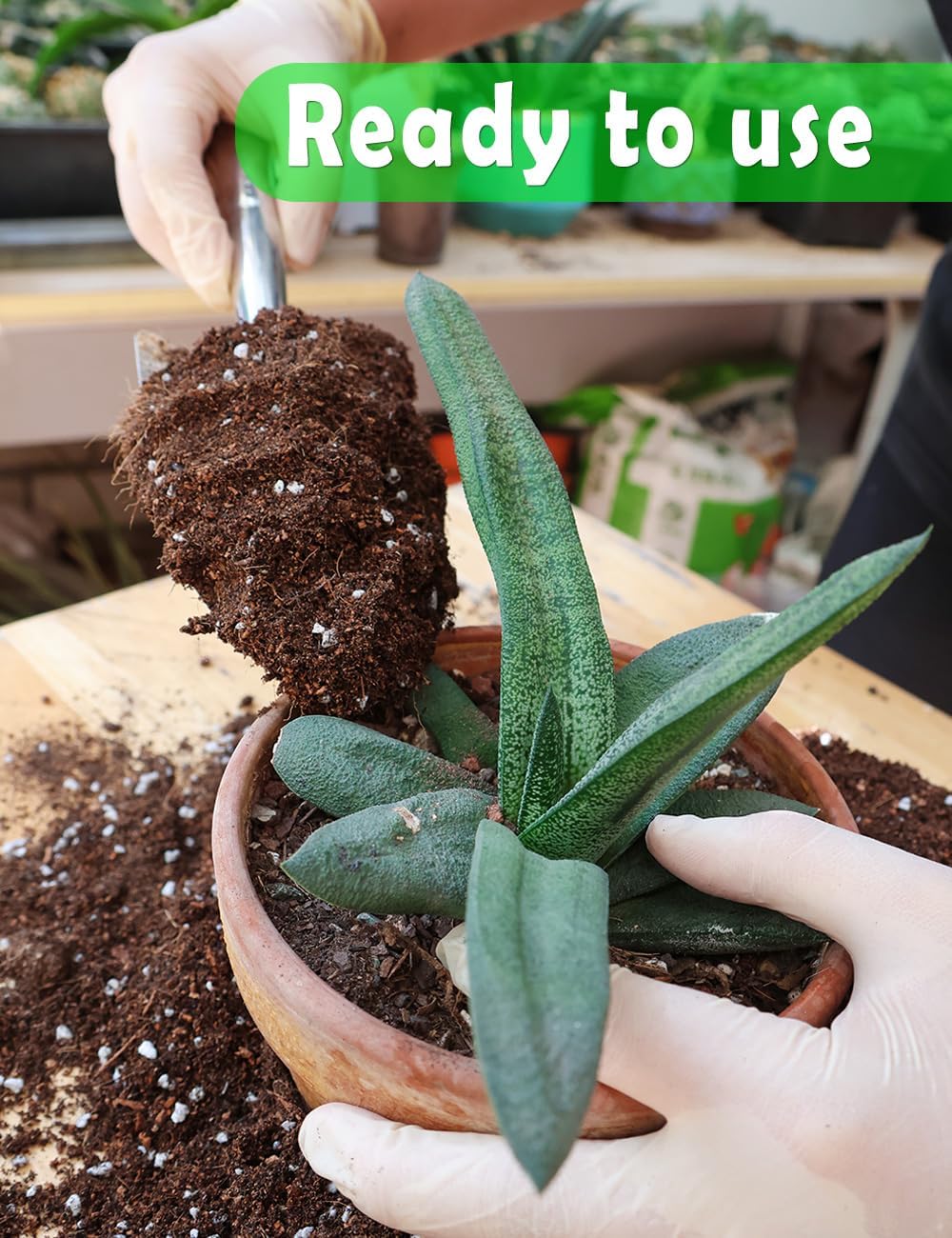 Potting Soil for All Indoor Ho - Coco Perlite Mix incelemesi ve fiyatı