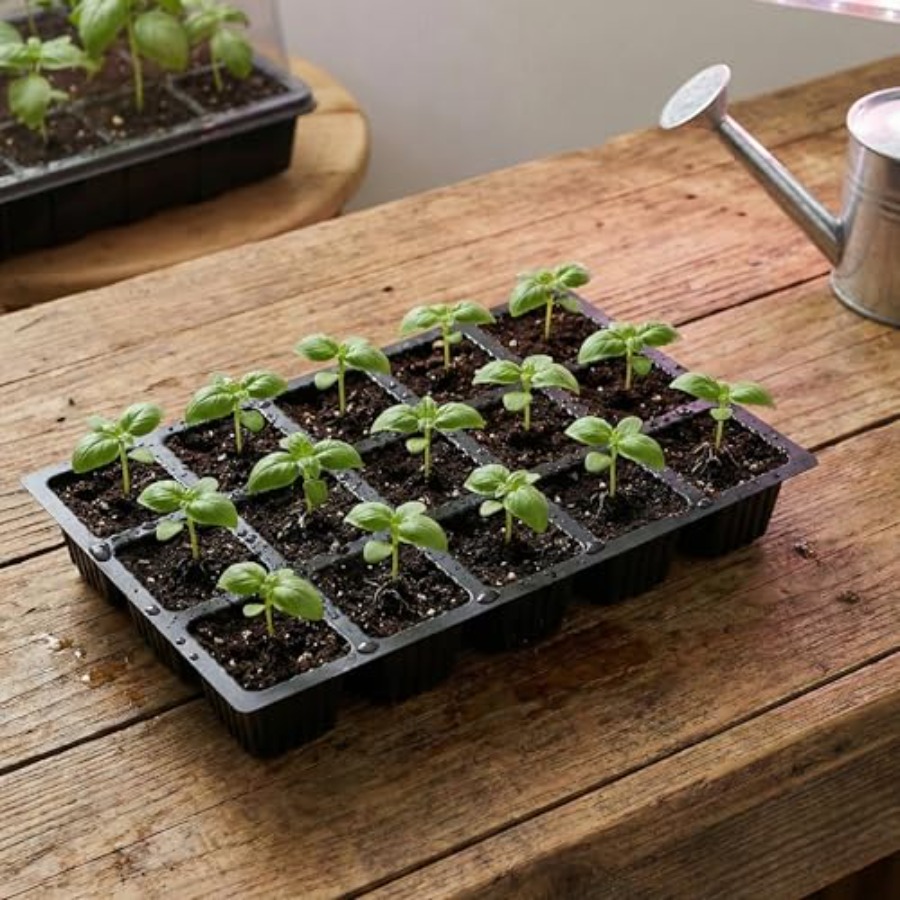 5-Set Seed Starter Tray Kits D - Humidity Dome Kit incelemesi ve fiyatı