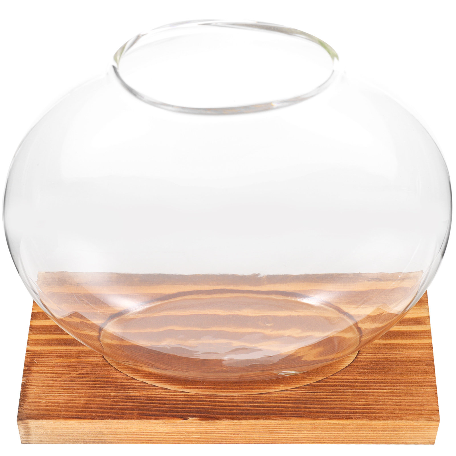 Glass Hydroponic Plant Vase wi - Propagation Station Vase incelemesi ve fiyatı