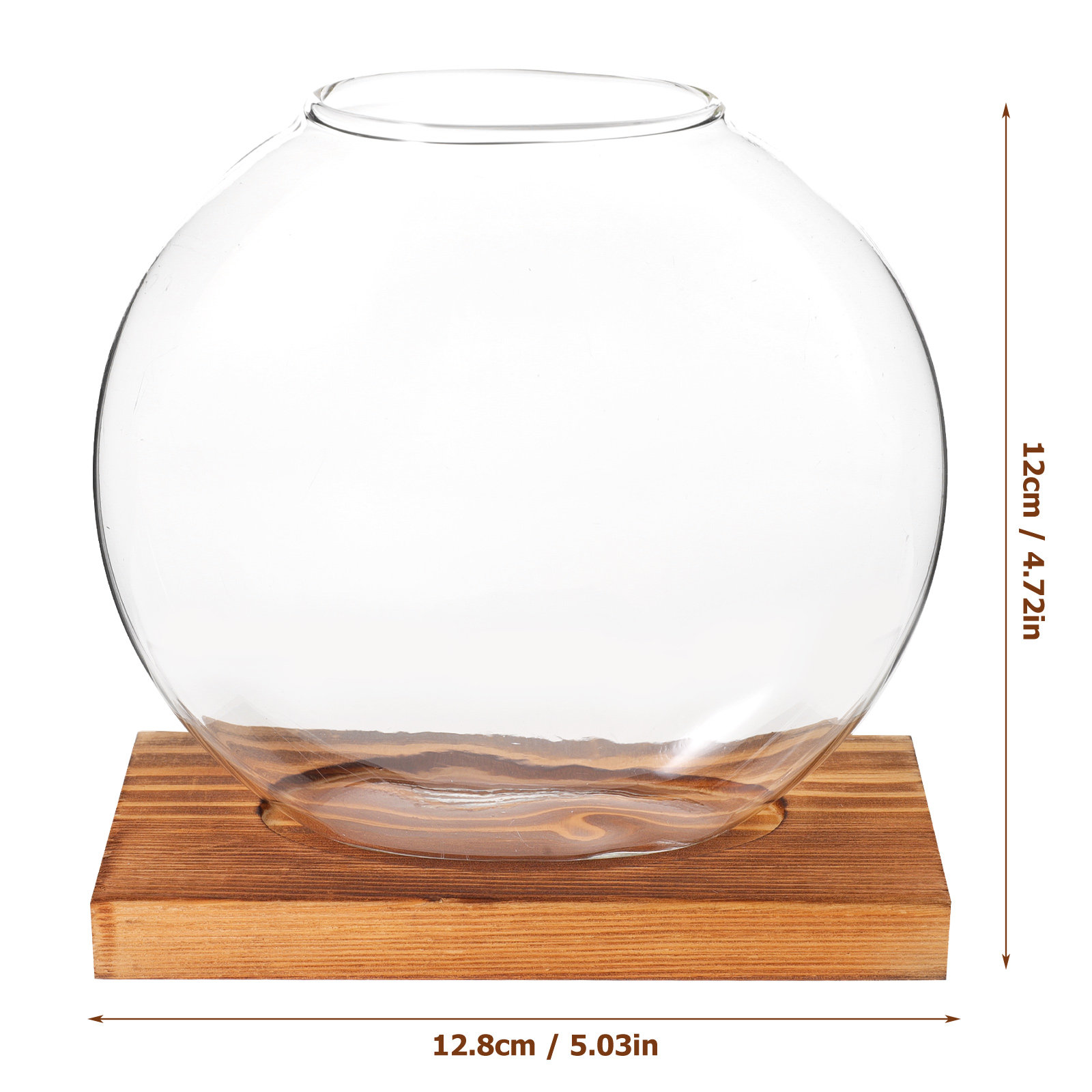 Glass Hydroponic Plant Vase wi - Propagation Station Vase incelemesi ve fiyatı