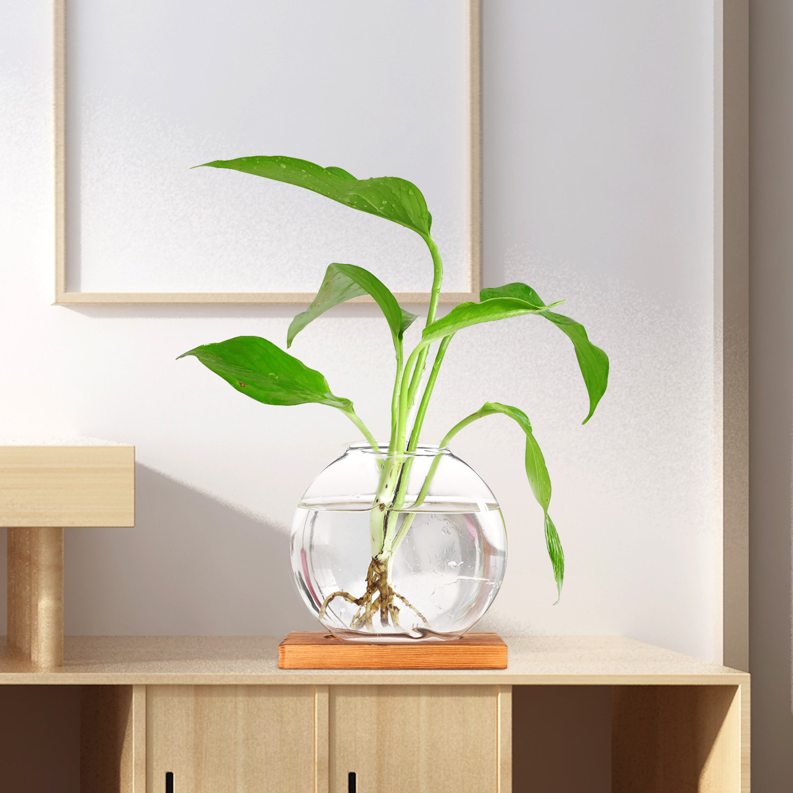 Glass Hydroponic Plant Vase wi - Propagation Station Vase incelemesi ve fiyatı